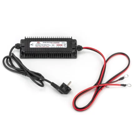 Зарядний пристрій для акумуляторів LiFePo4 20А 14.6V на радіаторі WG-12C300S