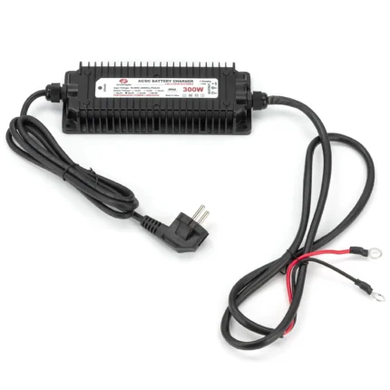 Зарядний пристрій для акумуляторів LiFePo4 10А 29.2V на радіаторі WG-24C300S